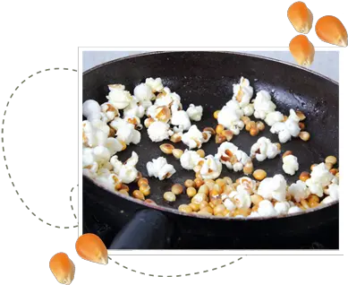 Corny Facts Popcorn Png Popcorn Kernel Png