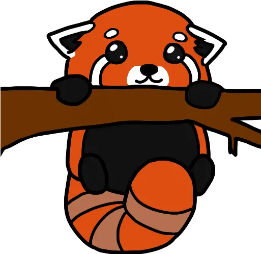 Redpandas Draw A Cute Red Panda Png Red Panda Transparent