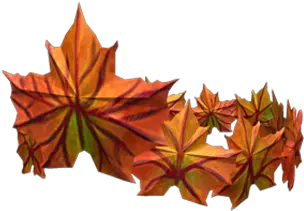 Crown Of The Fall Roblox Wikia Fandom Maple Leaf Png Fall Png