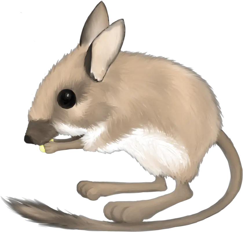 Clipart Of Rat Rats And By Mouse Transparent Mouse Png Rats Png