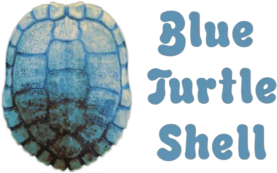 Welcome To Blue Turtle Shell Tortoise Png Shell Logo Png