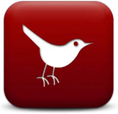 Cardinal Morons Twitter Icon Cardinal Png