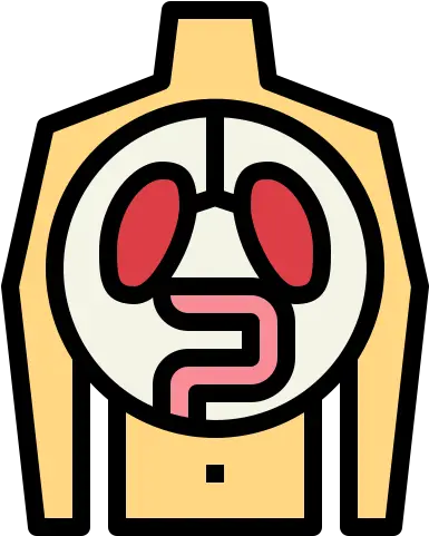 Human Organ Free People Icons Iconos De Un Organo Png Organ Icon