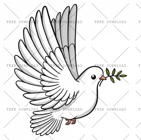 Dove Bird Png Image With Transparent Background