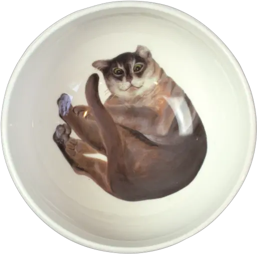 Fred Funny Burmilla Cat Cereal Bowl Png Cereal Bowl Png