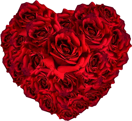 Red Roses Heart Png Rose Flower Heart Png Red Heart Png