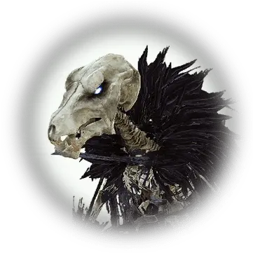 Skeleton Lizard Bdo Codex Scary Png Lizard Icon