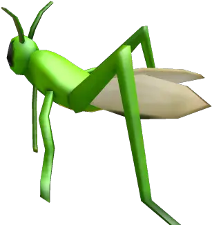 Praying Mantis Roblox Parasitism Png Praying Mantis Png