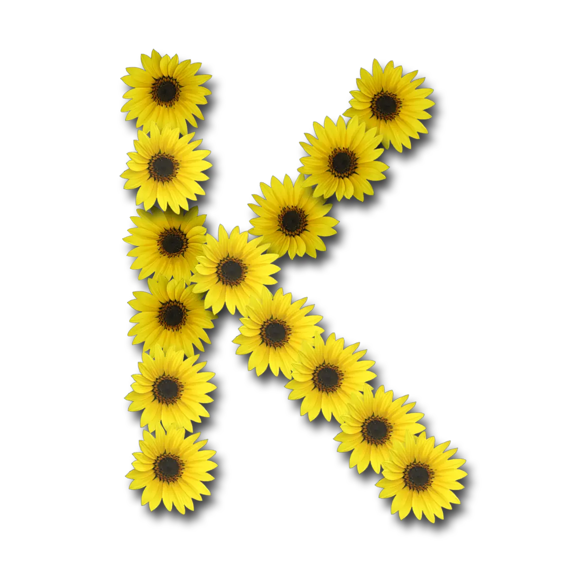 Png Sunflower Clipart