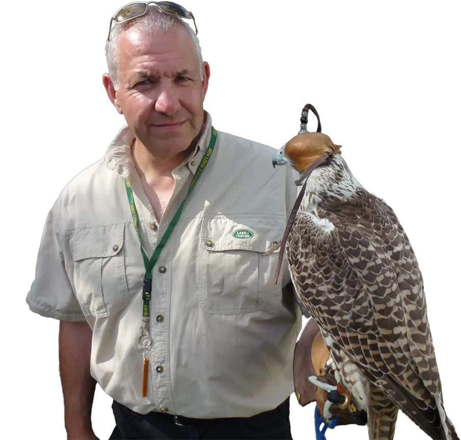 Falconry Services In Lincolnshire By Swat Pest Control Falcon Png Falcon Transparent