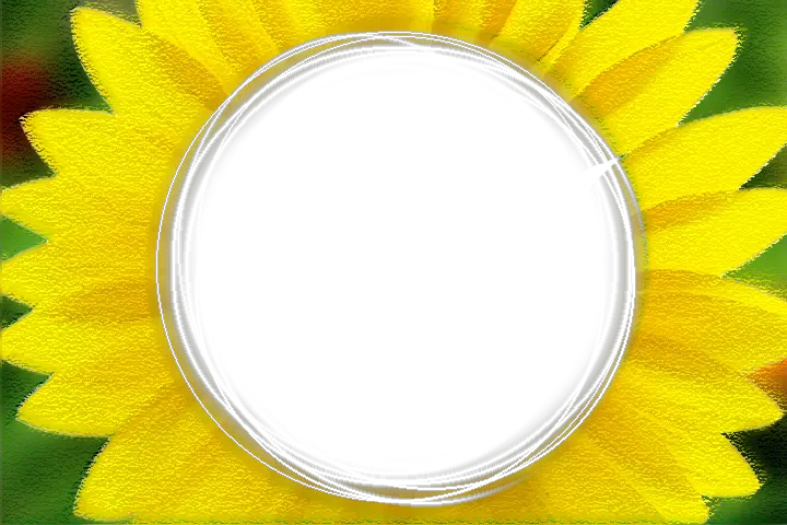 Old Sunflower Png