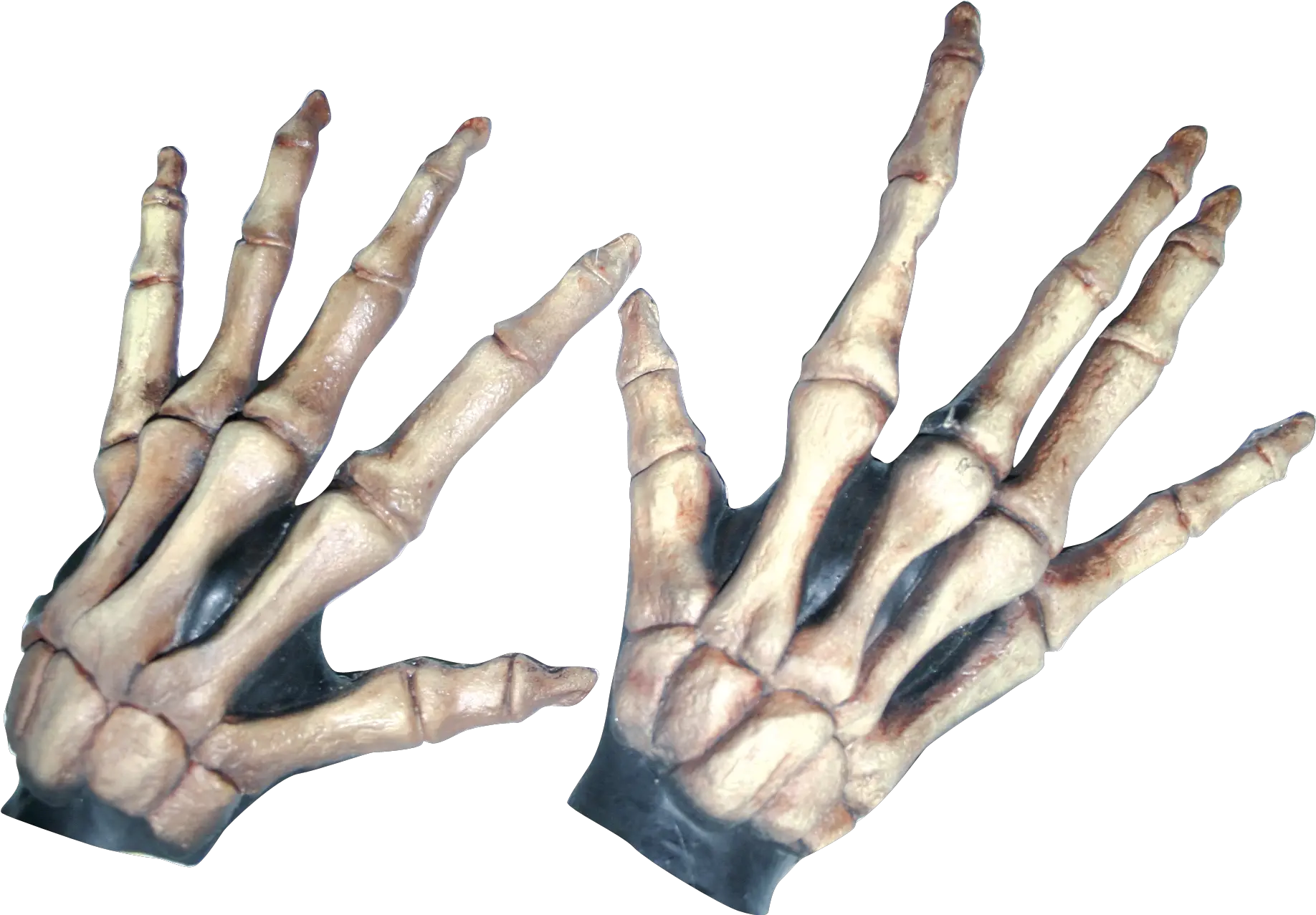 Large Skeleton Hands Bone Colored Bony Hand Of Skeleton Png Skeleton Hand Png