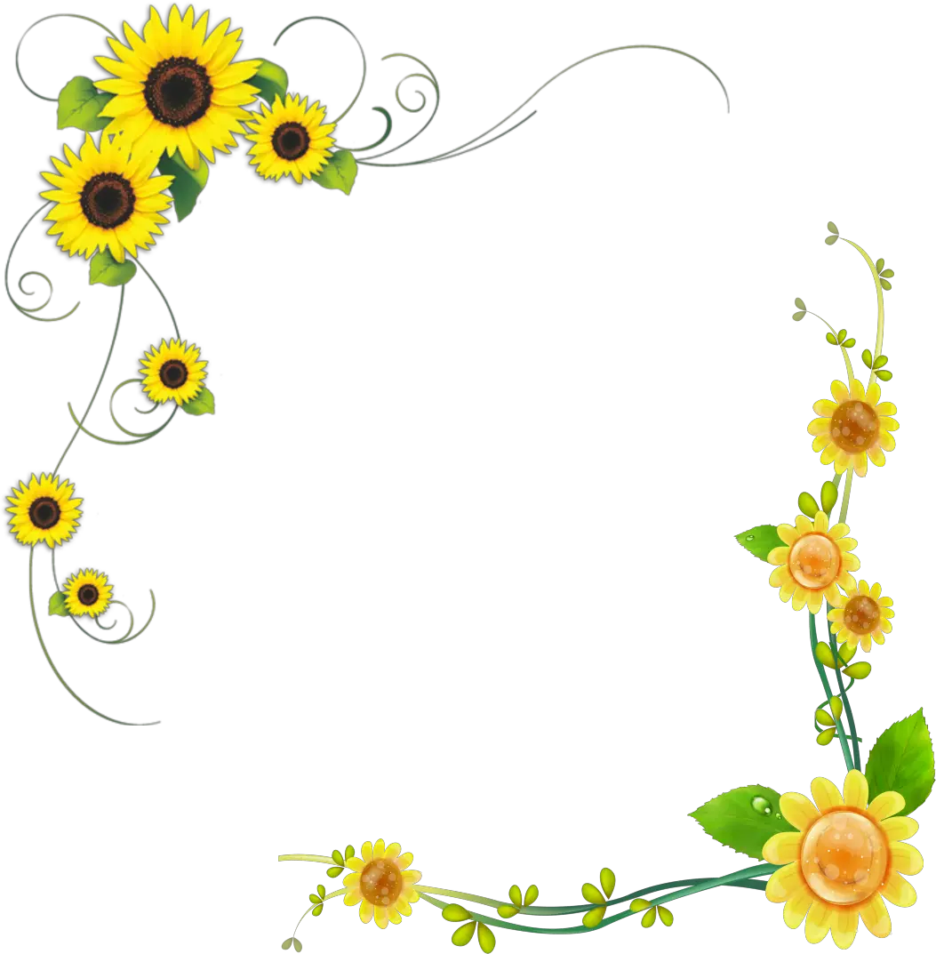 Mason Jar And Sunflower Clipart Png