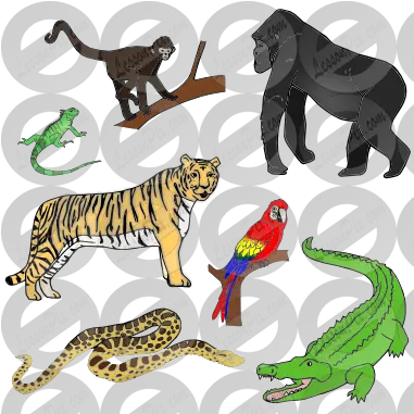 Jungle Animals Picture For Classroom Therapy Use Great Illustration Png Jungle Animals Png