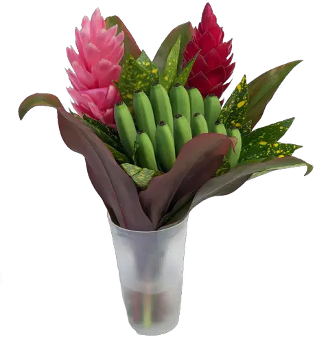 Fun Rainbow Tropical Centerpieces Red Ginger Png Tropical Flowers Png