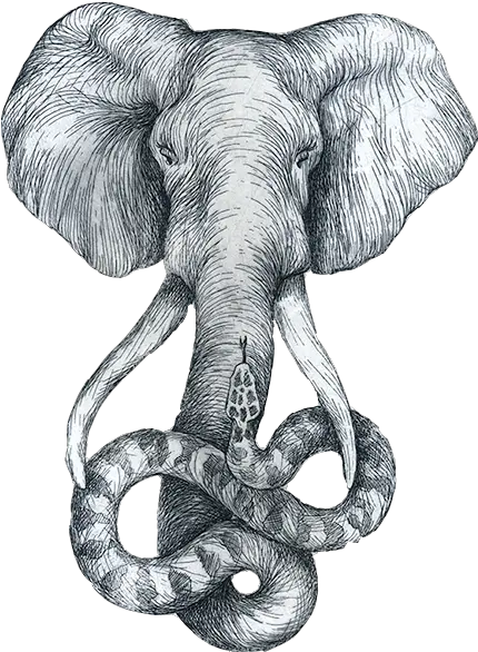 Download Hd Jpg Black And White Elephant Sketch Headed Snake Elephant With Snake Nose Png White Elephant Png