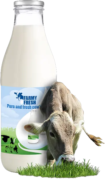 Download Studies Have Linked The Consumption Of Milk Milk Png With Cow Milk Png