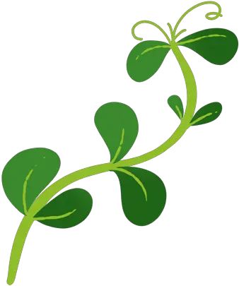 Protein Greens Iloveorganicgirl Pea Shoots Icon Png Shoot Icon