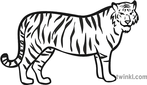 Tiger Zoo Map Icon Black And White Illustration Twinkl Tiger Icon Png Jungle Map Icon