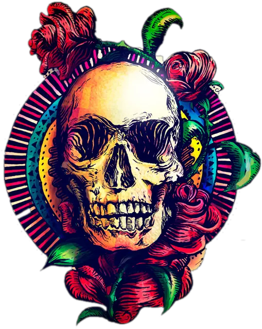 Art Skeleton Skull Calavera Human Cool Cool Skull Png Calavera Png