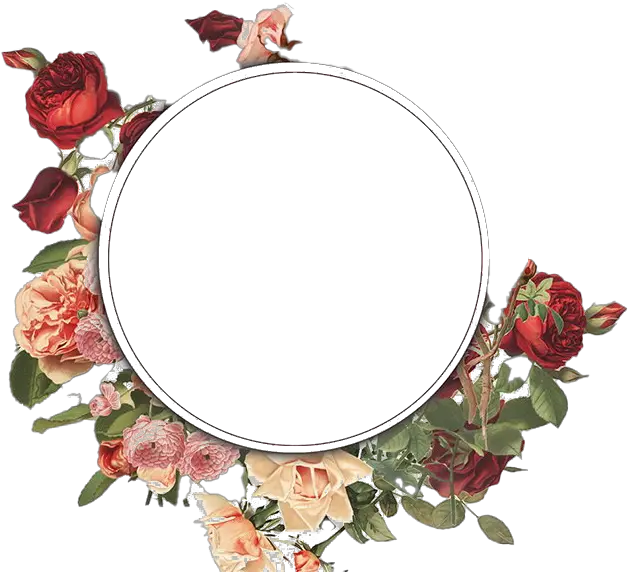 Flower Frame Png Transparent Images All Transparent Background Flower Frame Png Circle Frames Png