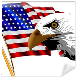 American Flag And Eagle Wall Mural Made In Usa Png American Flag Eagle Png