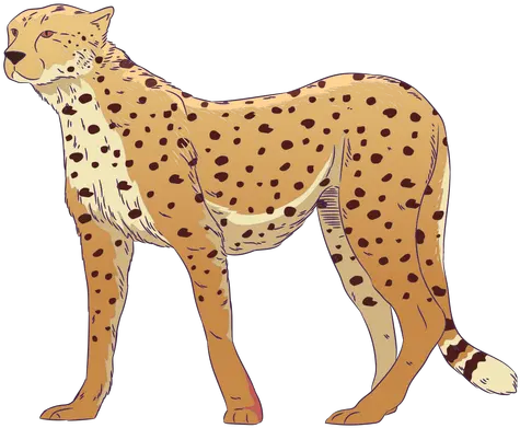 Wild Animal Cheetah Hand Drawn Colorful Transparent Png Cheetah Drawn Transparent Png Cheetah Print Png