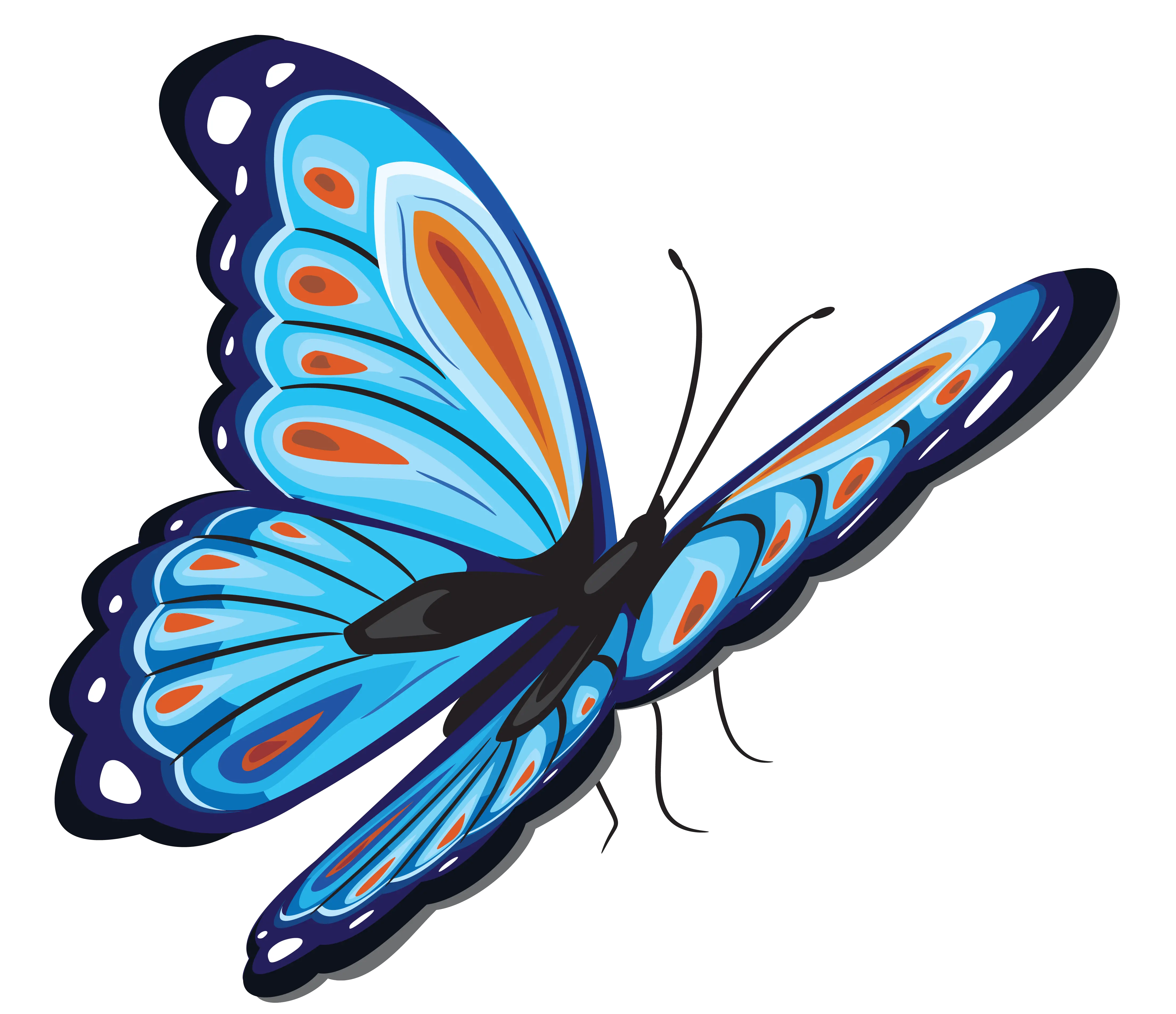 Png Butterfly Vector