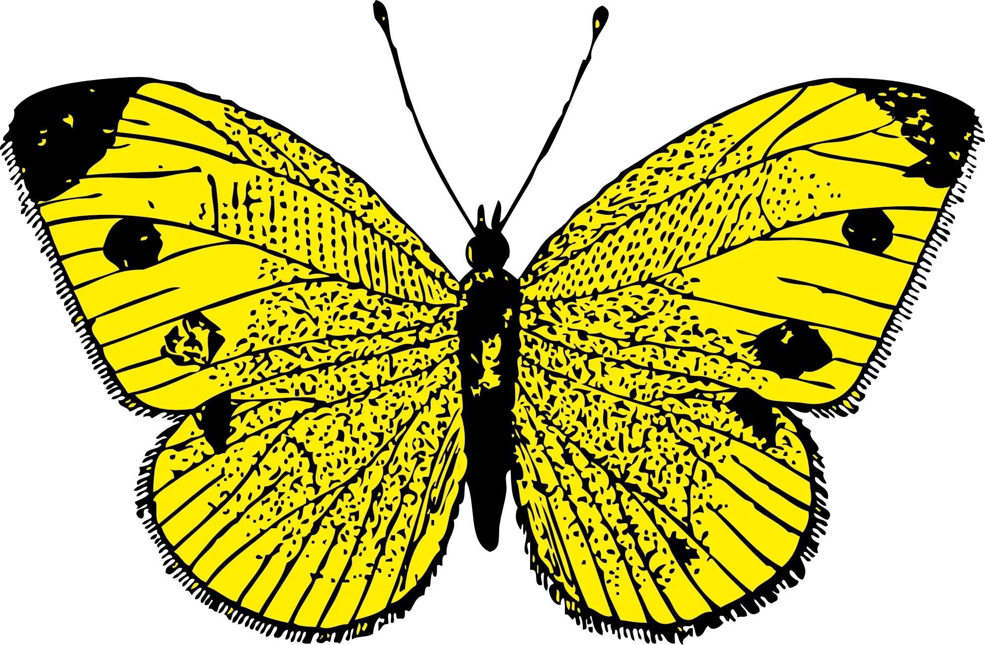 Glowing Butterfly Png Hd