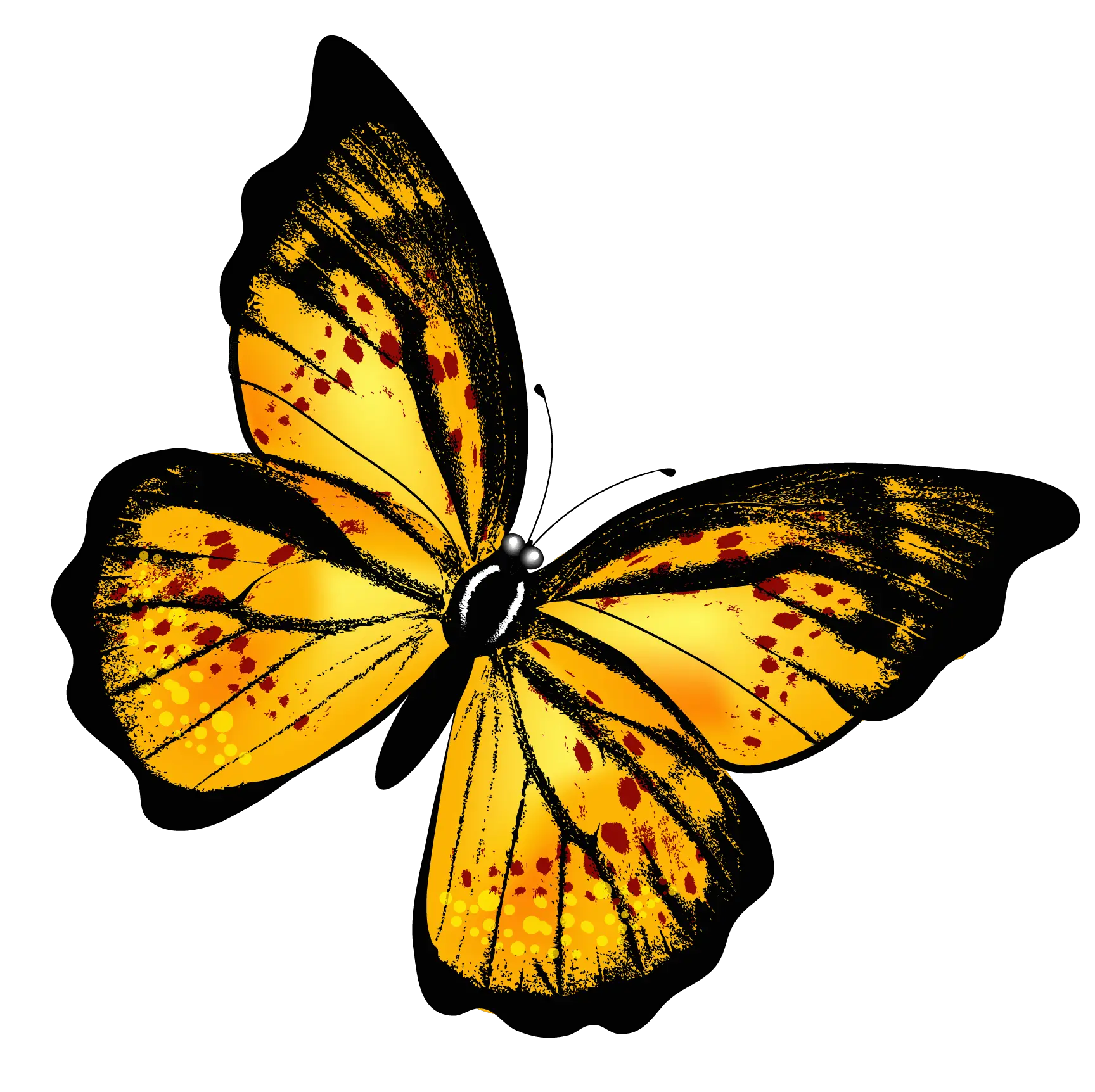 Flying Butterfly Png Hd