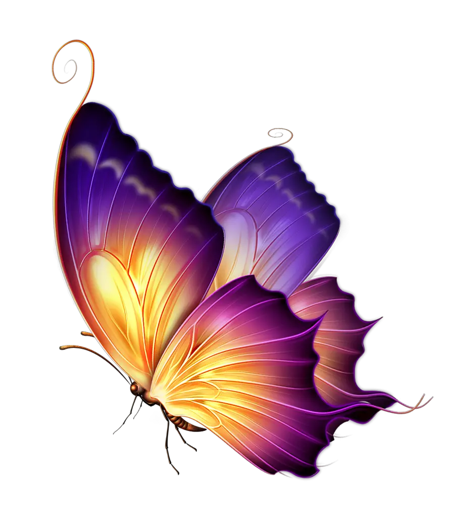 Flower Butterfly Png