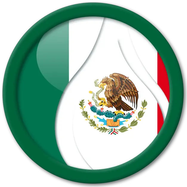 Learn Latin American Spanish Mexico Flg Transparent Background Png Mexico Flag Icon Png