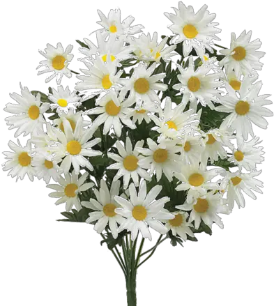 64 Images About Flower Png Flower Bouquet For Retirement White Flowers Png