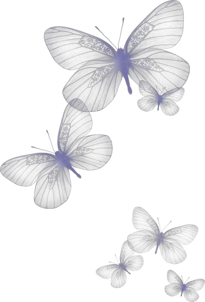 Butterfly Png Silhouette