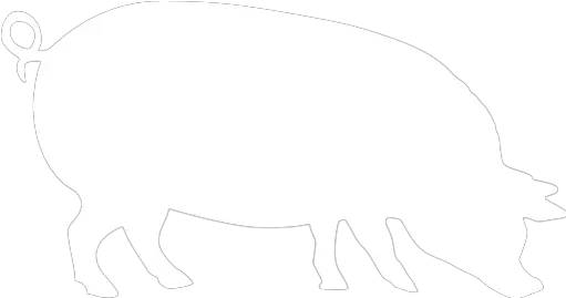 White Pig 4 Icon Free White Animal Icons Pig White Icon Png Pig Icon