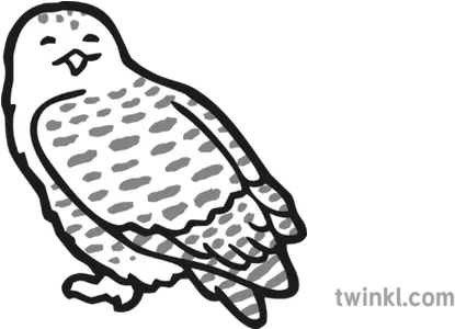 Owl Icon Black And White Illustration Dot Png Barn Owl Icon