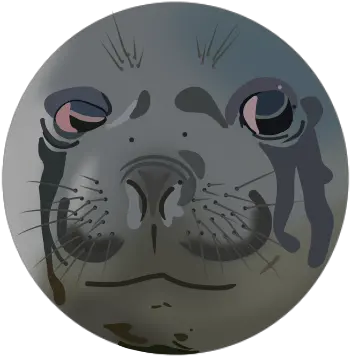 Download Hd Another Crying Seal Meme Redrawn I Like Doing Cartoon Png Crying Tears Png