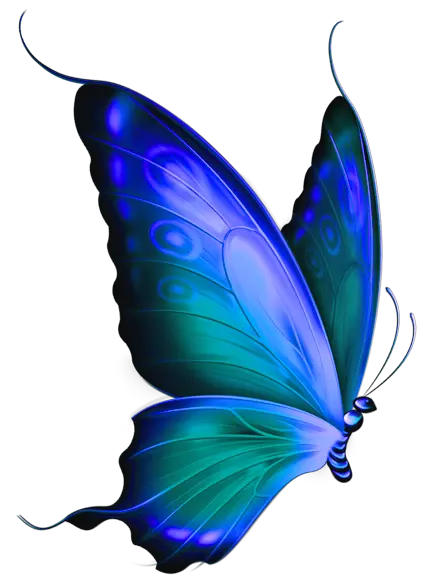 Beautiful Butterfly Png