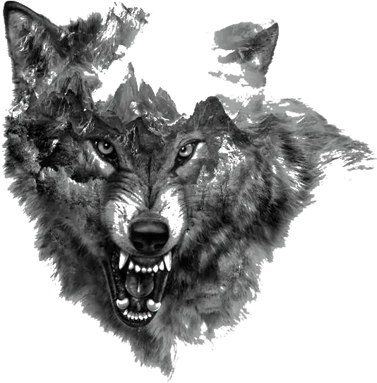 Download Tattoo Rocky Northern Mountain Painted Arctic Flash Growling Wolf Tattoo Designs Png White Flash Png