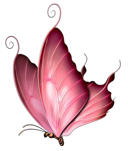 Transparent Butterfly Png