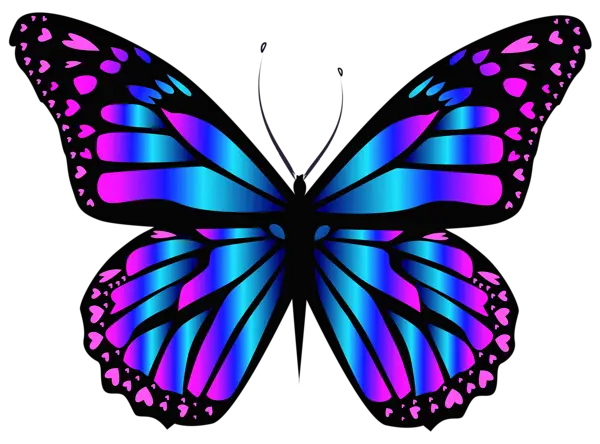 Fairy Butterfly Png