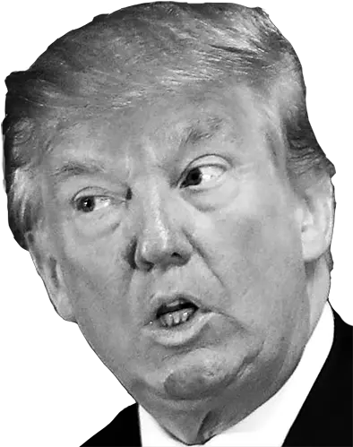 Donald Trump Png Donald Trump Black And White Png Trump Head Transparent Background