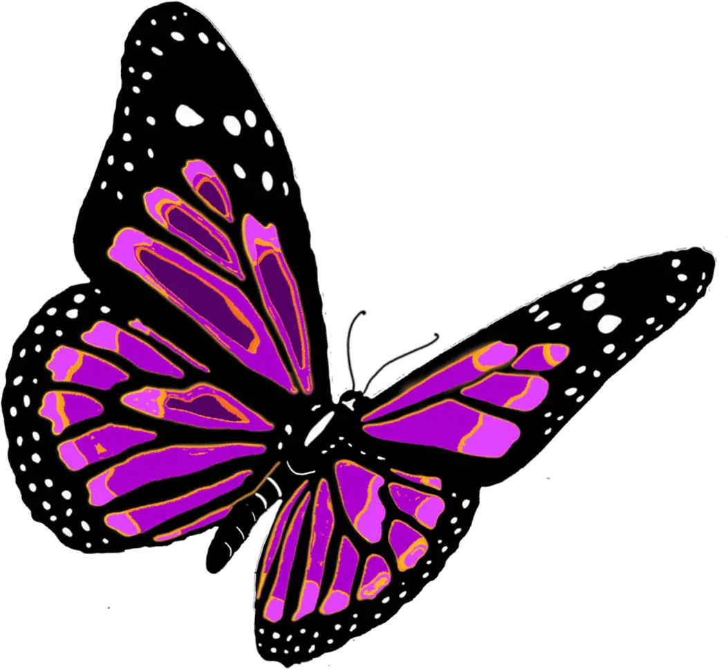 Butterfly Gif Png Download