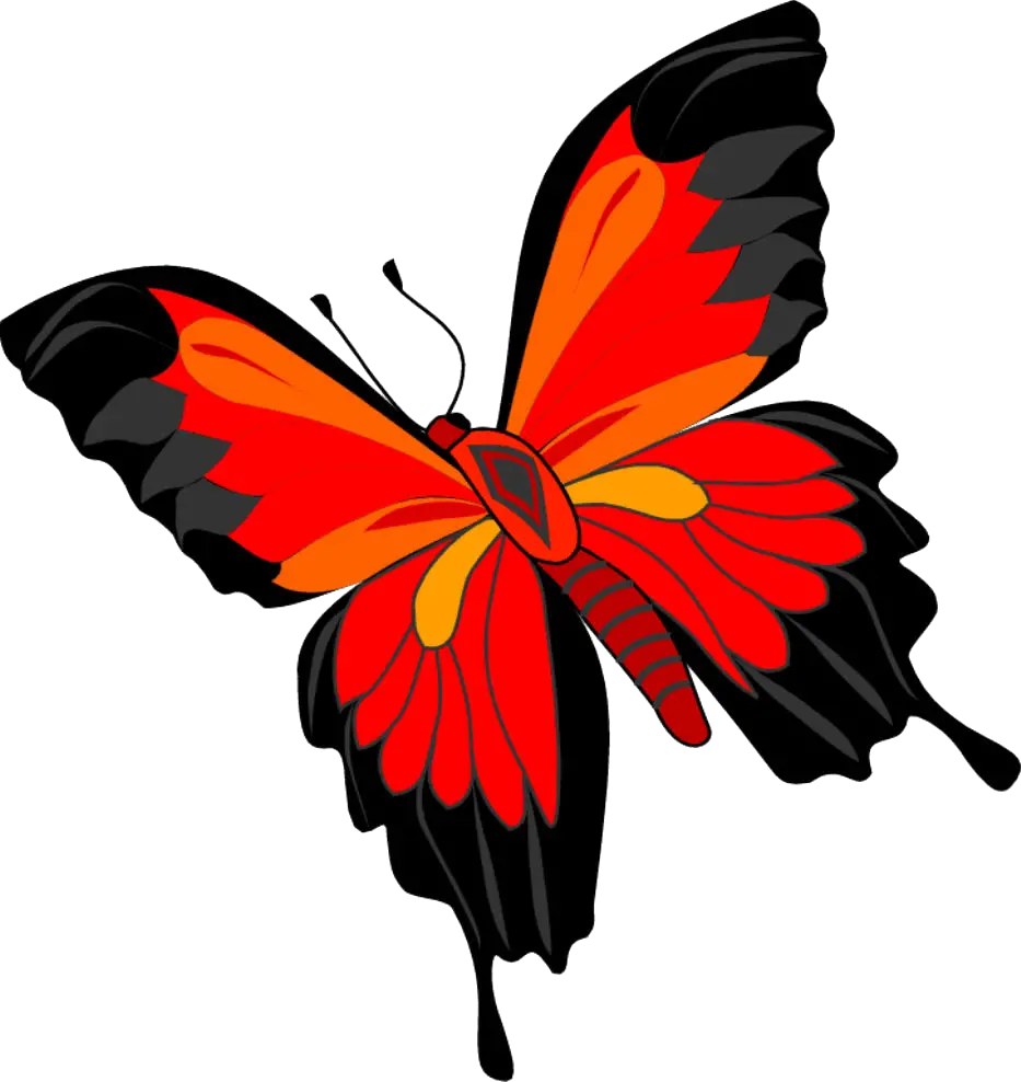 Butterfly Shape Png