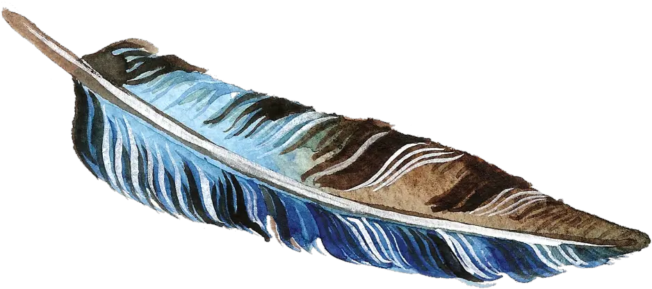 Download Brown And Blue Feather Transparent Decorative Brown Feather Transparent Background Png Feather Transparent Background