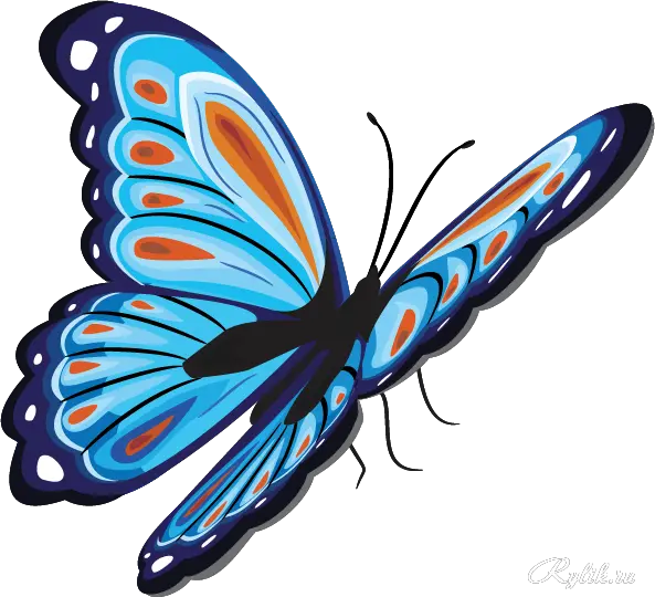 Butterfly Wings Transparent Png