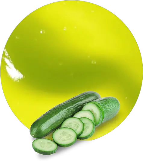 Cucumber Concentrate Cucumber Clipart Png Cucumber Transparent