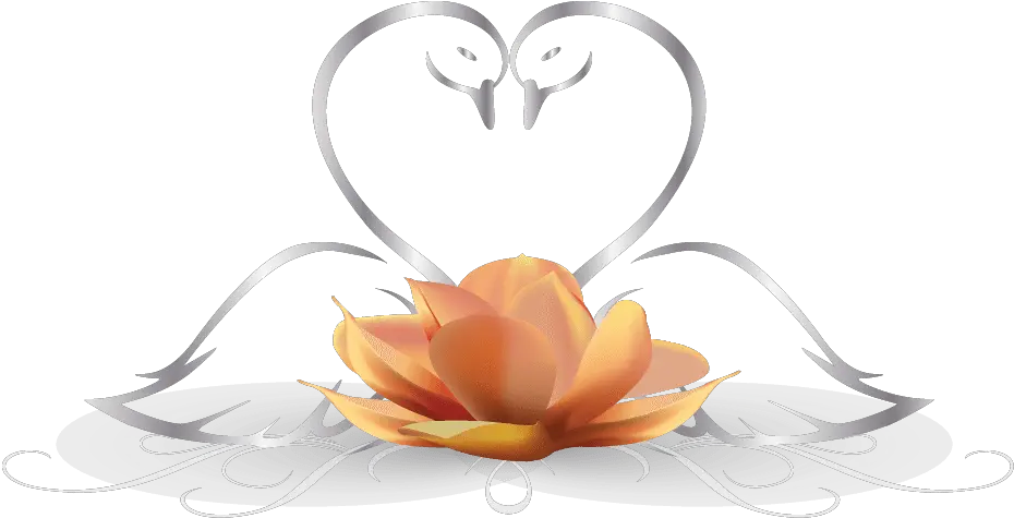 Swans Logo Making Made With Maker App Swan Designs For Wedding Hd Png Swan Logo