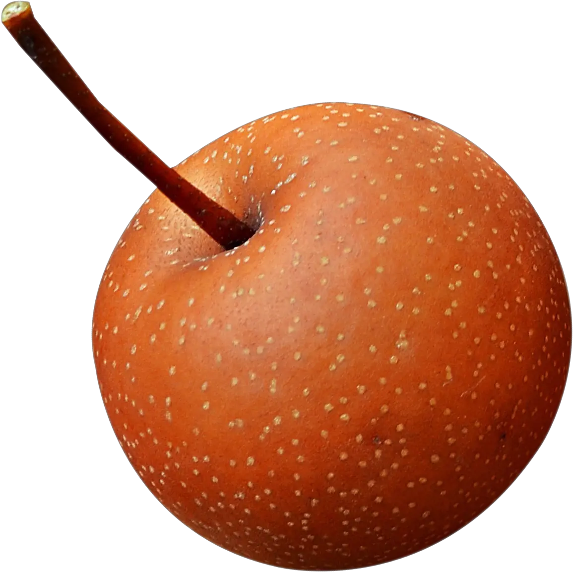 Download Fresh Asian Pear Png Image Chinese Pear Pear Png