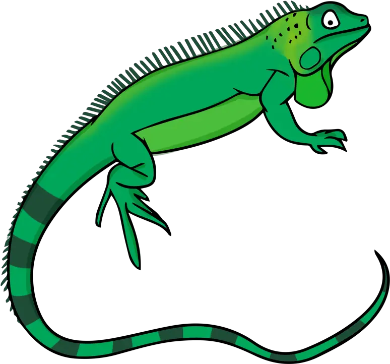 Library Of Reptile Graphic Freeuse Downloads Png Files Reptile Clipart Lizard Transparent Background